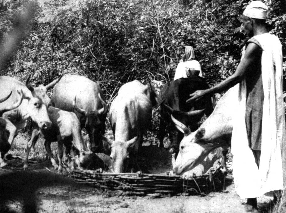 Ceremonie du Tuppal