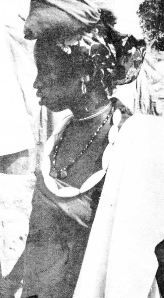 Hausajin nomadic Fulani woman of Kantagora wearing Kanduji beads