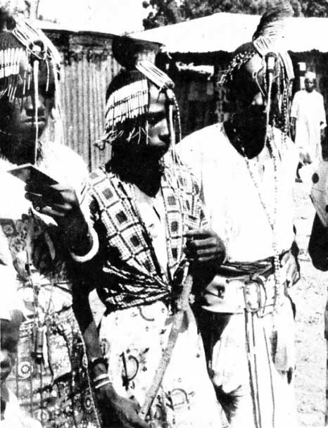 Young Fulani boys from Biu wearing courting hairstyle