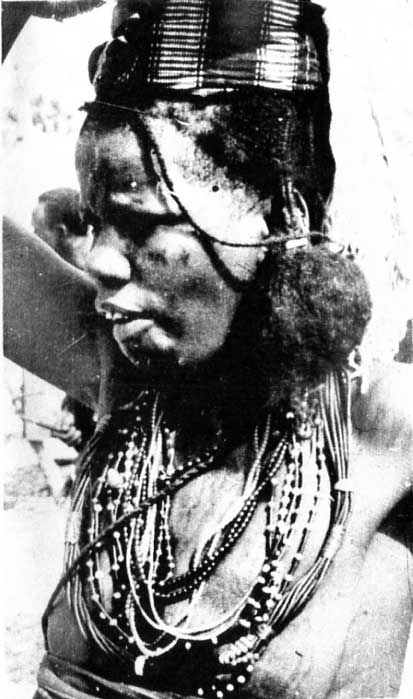 Fulani woman of Kontagora