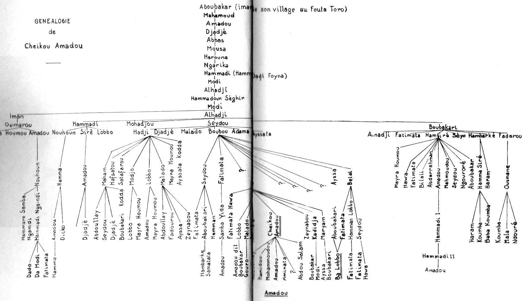 genealogie Cheikou Amadou