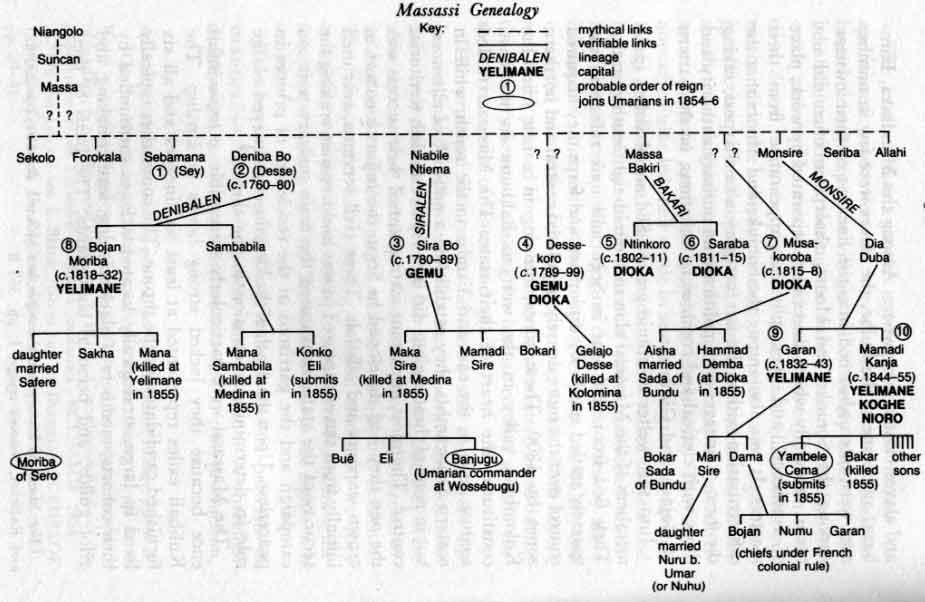 Massassi genealogy